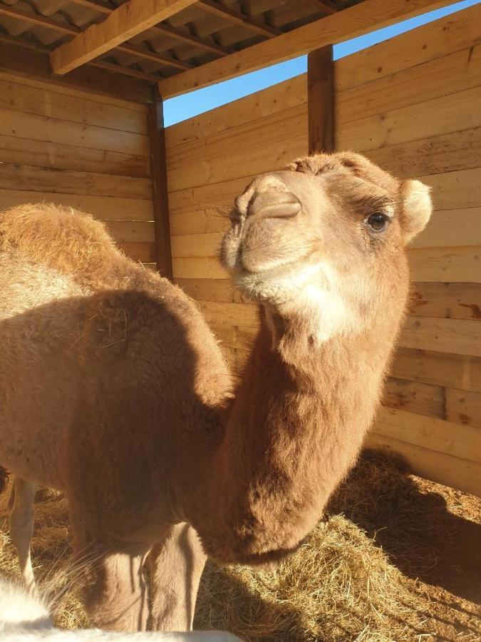فيلا Ferme De Chiuni Cargèse المظهر الخارجي الصورة