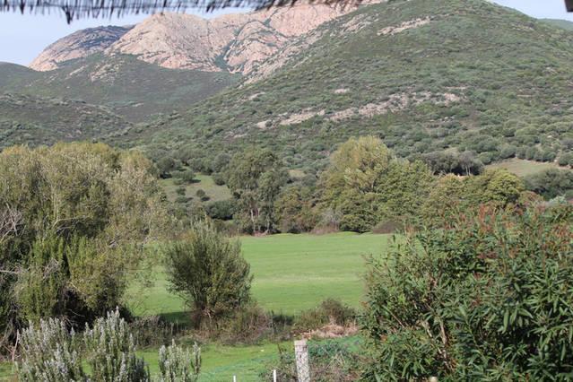 فيلا Ferme De Chiuni Cargèse الغرفة الصورة