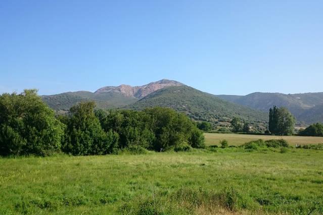 فيلا Ferme De Chiuni Cargèse الغرفة الصورة