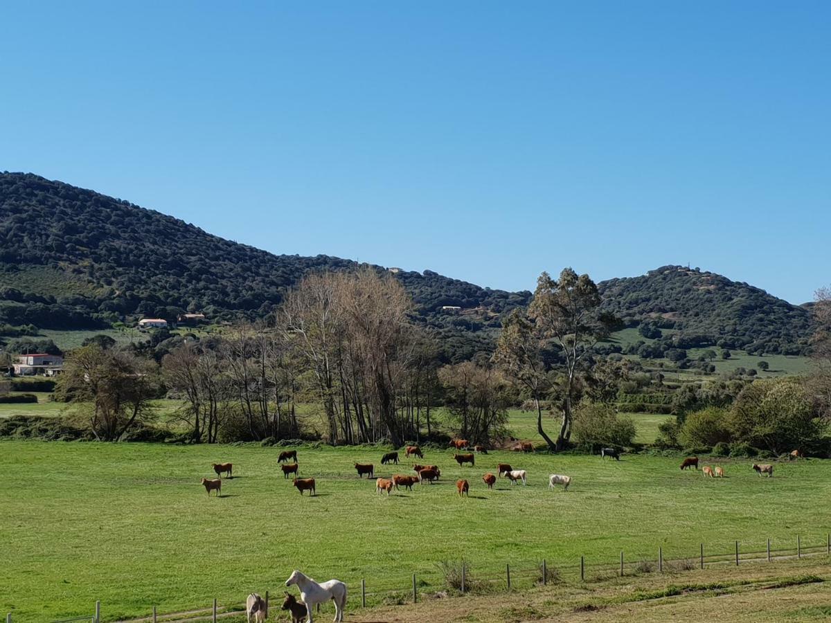 فيلا Ferme De Chiuni Cargèse المظهر الخارجي الصورة